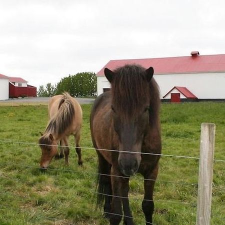 Byggtharhorn Selfoss Exterior foto
